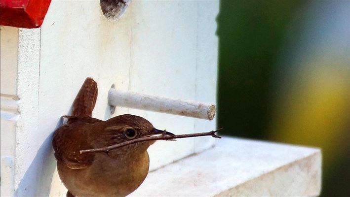 Sådan kan du sikre dig en tryg og professionel hjælp ved opkøb af dødsbo Herning