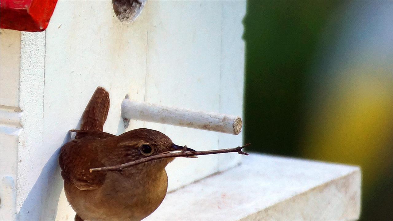 Sådan kan du sikre dig en tryg og professionel hjælp ved opkøb af dødsbo Herning