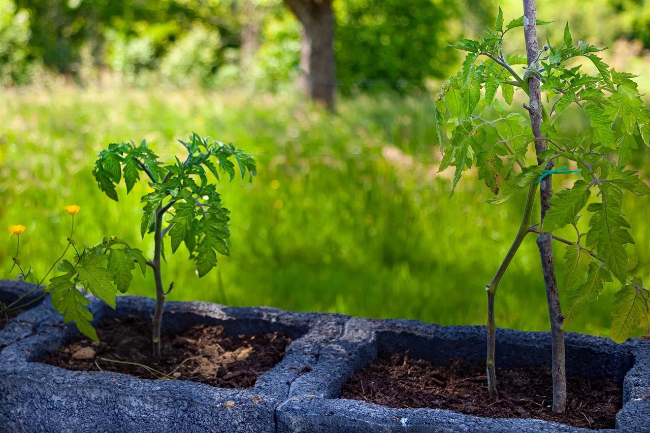Med højbede og plantekasser får du mulighed for at opnå din drømmehave
